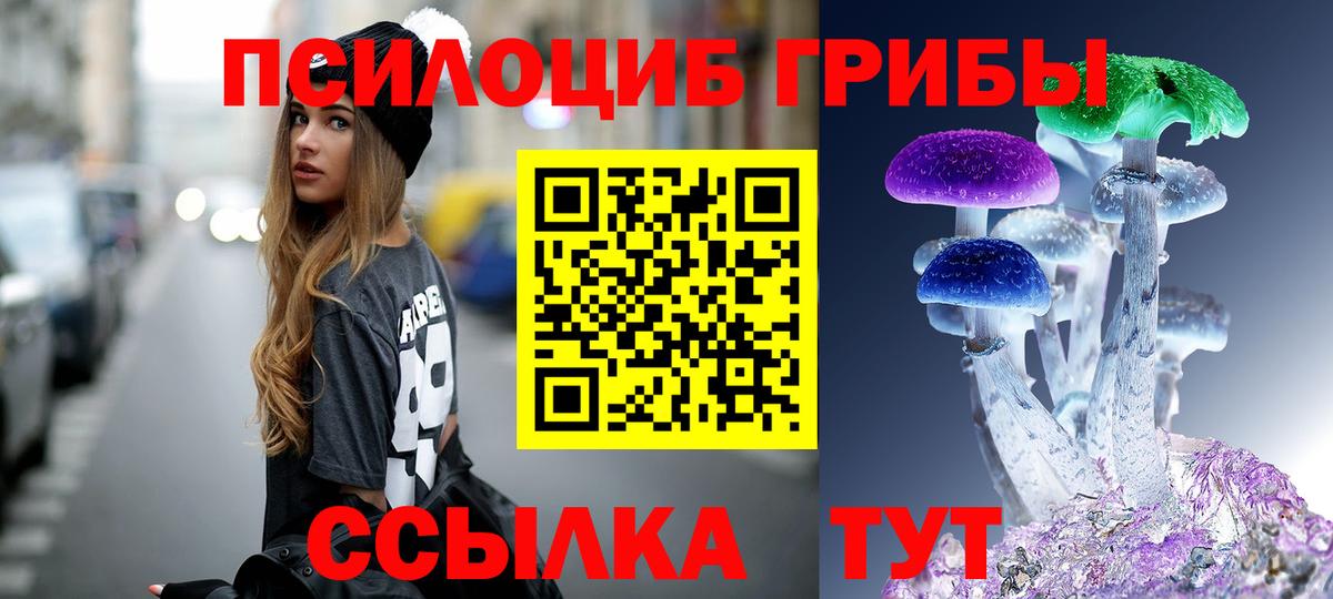Галлюциногенные грибы GOLDEN TEACHER Ухта