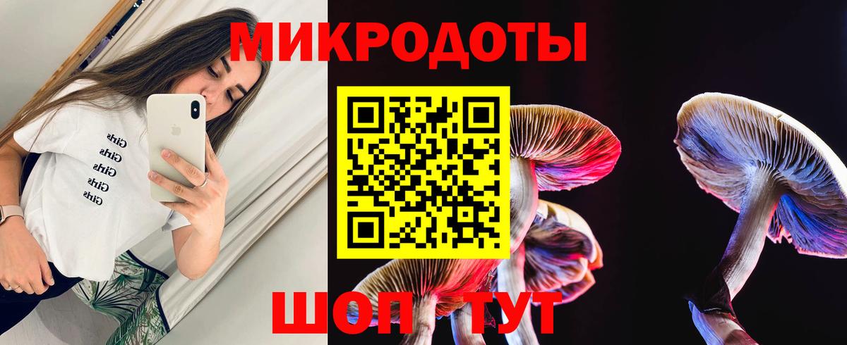Галлюциногенные грибы Cubensis  Галлюциногенные грибы прущие грибы  Ухта  Вход с VPN 